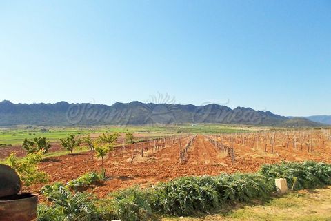 Farm hus i Yecla, Murcia, Yecla - € 410.000 | Ref: SF0064 - foto 25